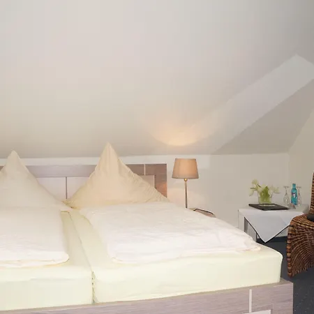 Hotel Busch 3*